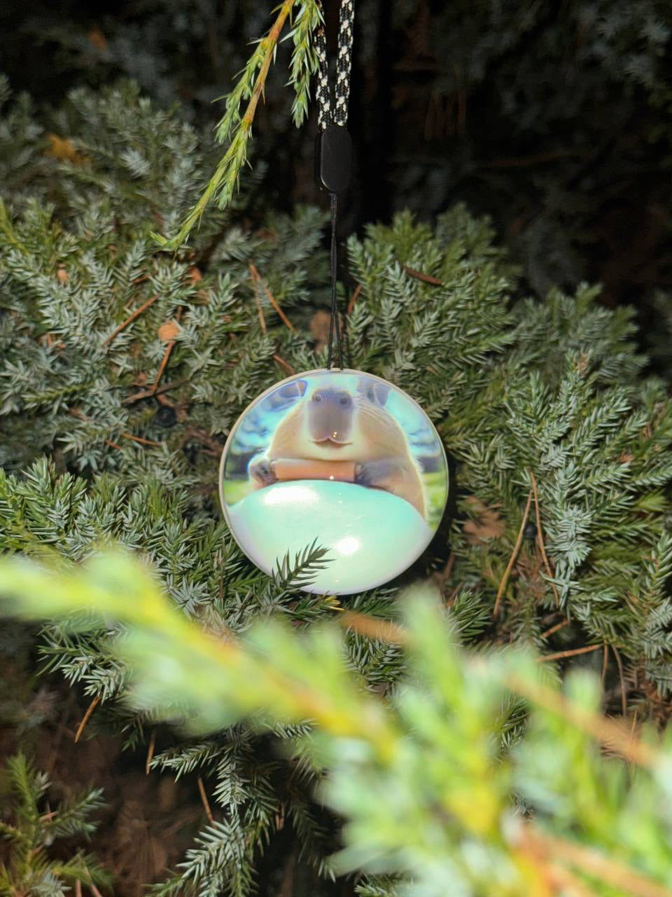 Memory Sphere photo banner